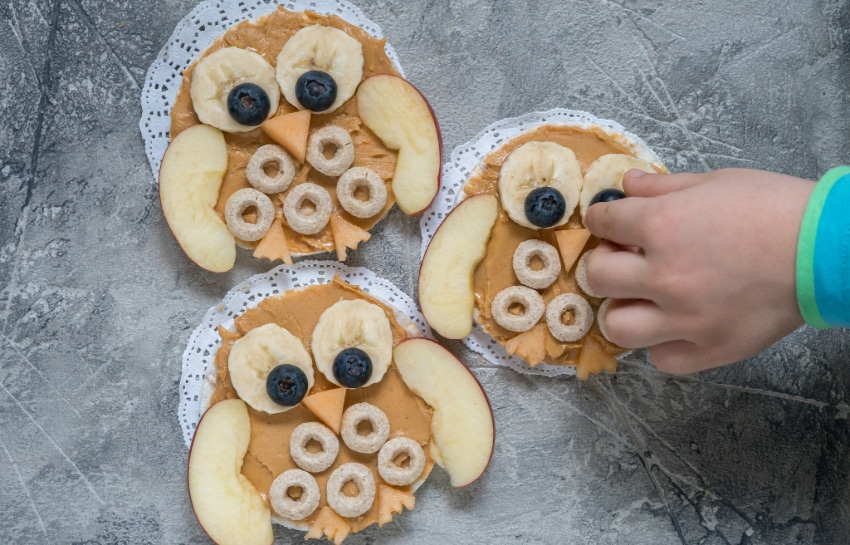 Owl Rice Cakes